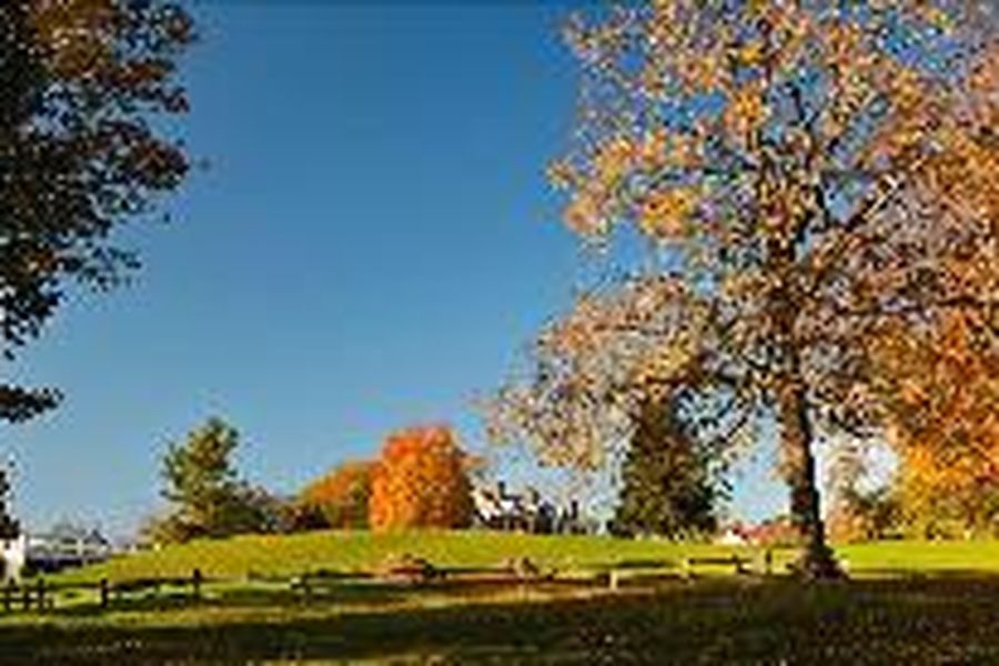 photo-3