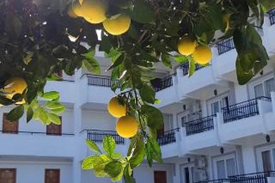 foto-2