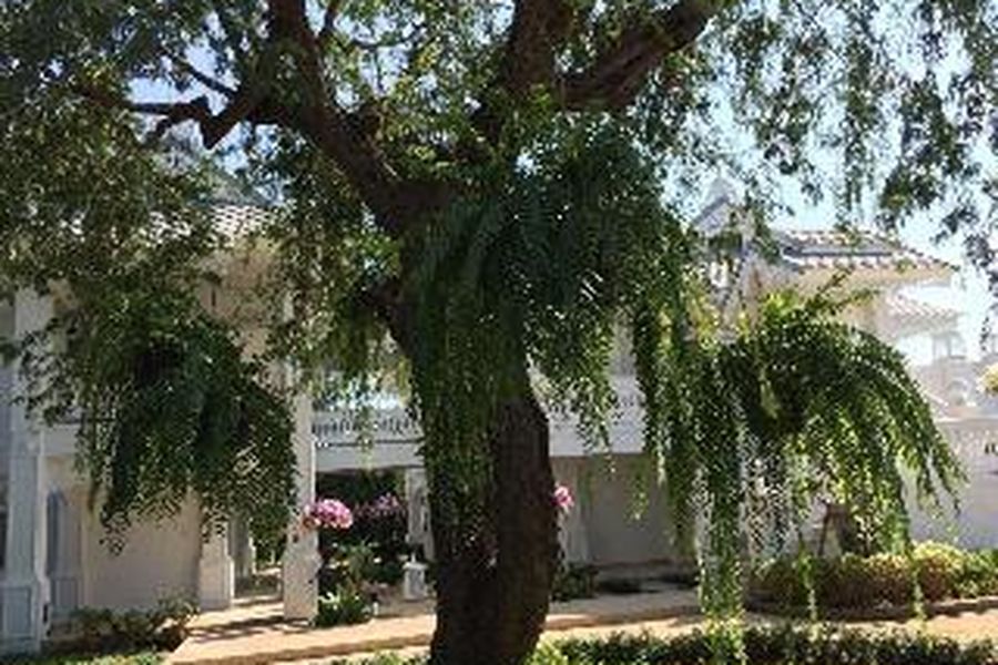 foto-2