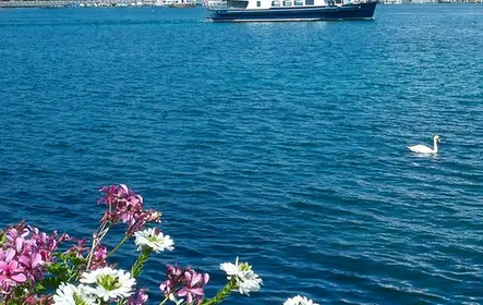 Paseo en barco por Ginebra