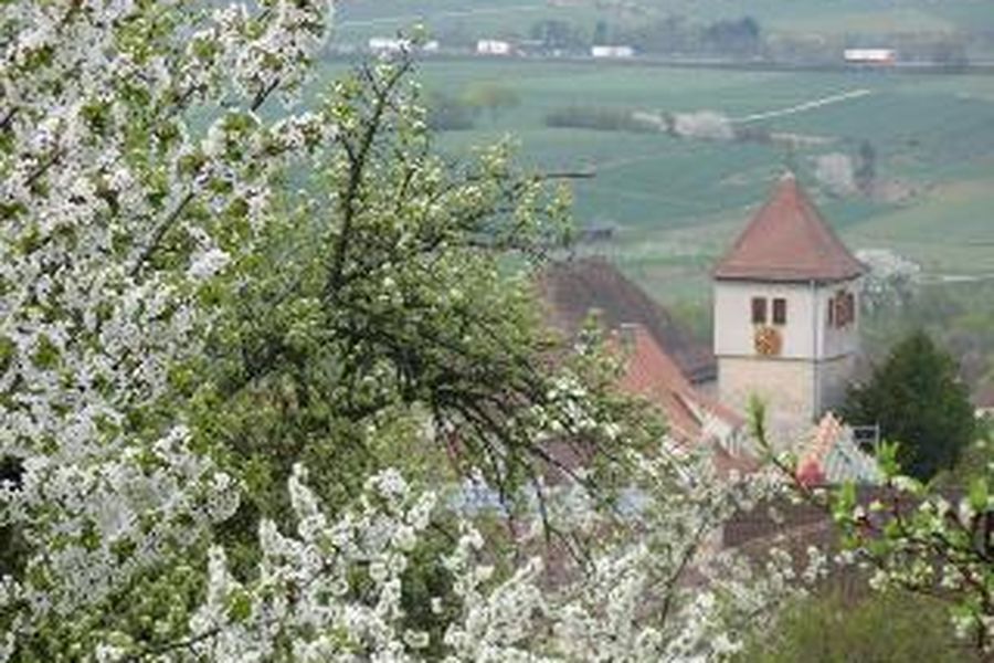 foto-1