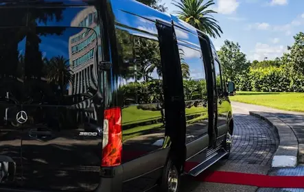 Athens: Private Mini Bus To/From Athens Airport