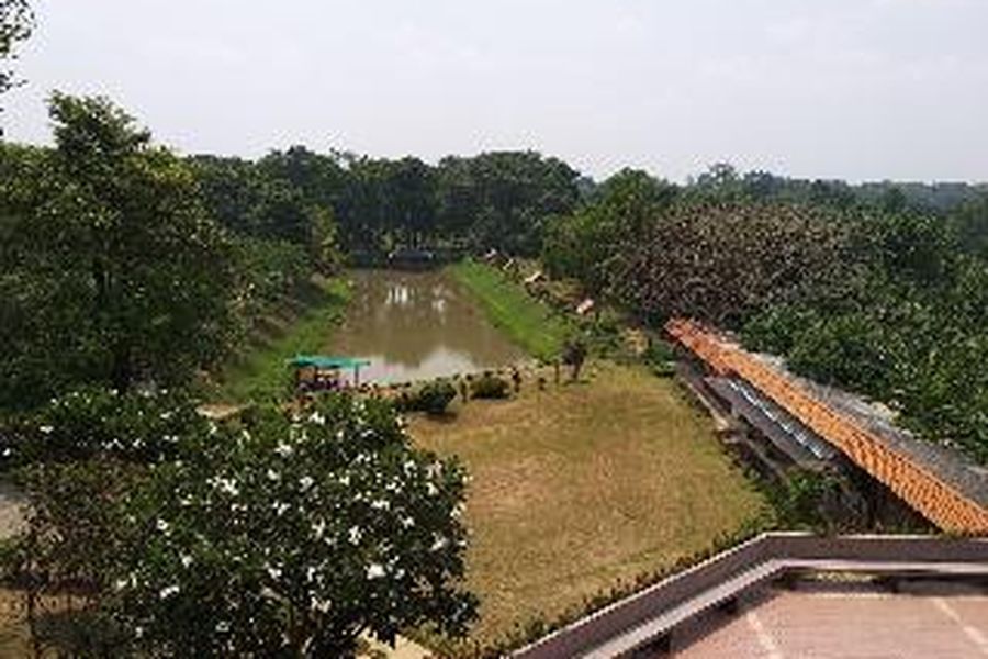 foto-3