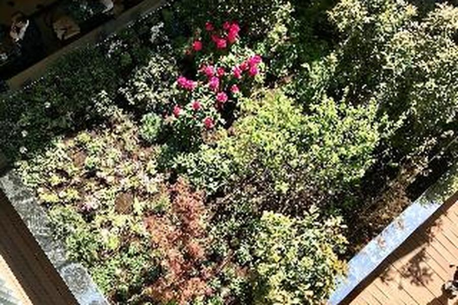 foto-2