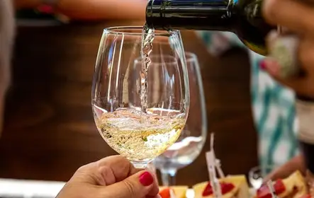 Cata de vinos en el restaurante Folio en Protaras para hoteles de Protaras