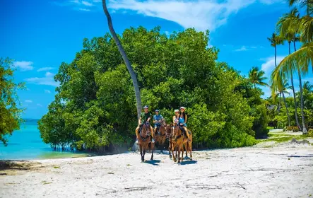 Passeio a cavalo em Punta Cana