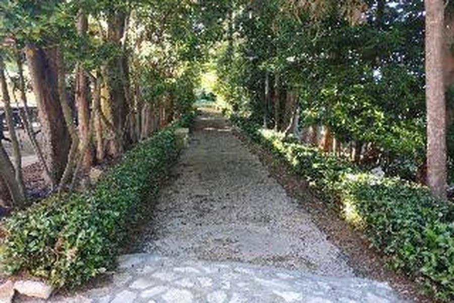 photo-1