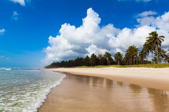 Praia do Francês - Al
