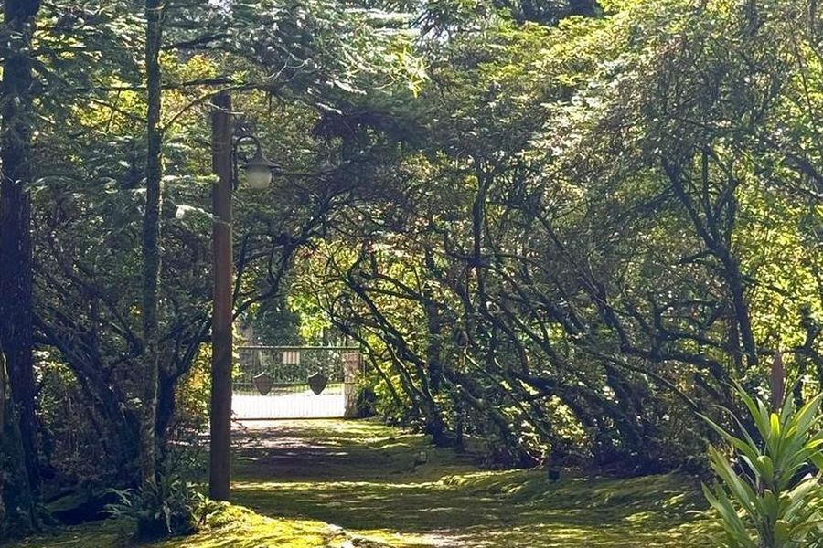 foto-3