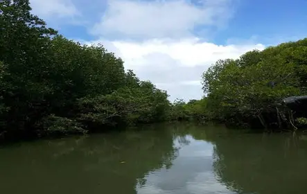 Excursão à Ilha Ko Lanta com cruzeiro de barco Longtail