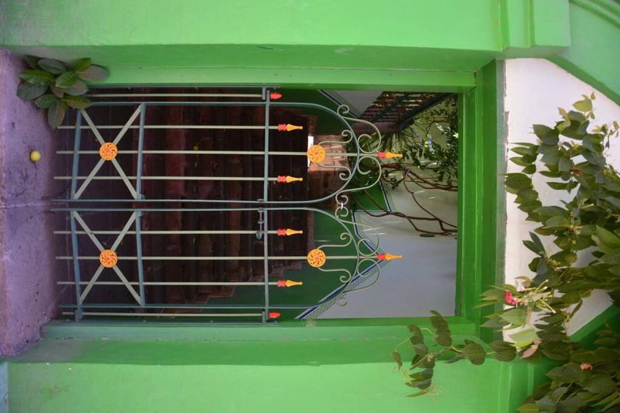 foto-2