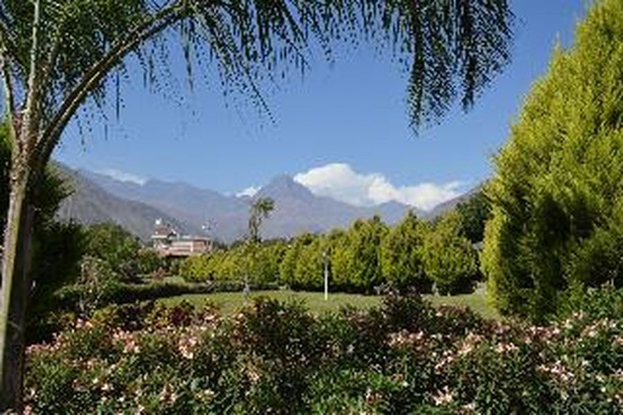 foto-3