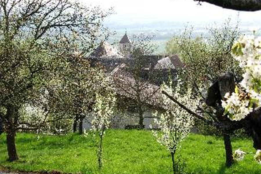 photo-2