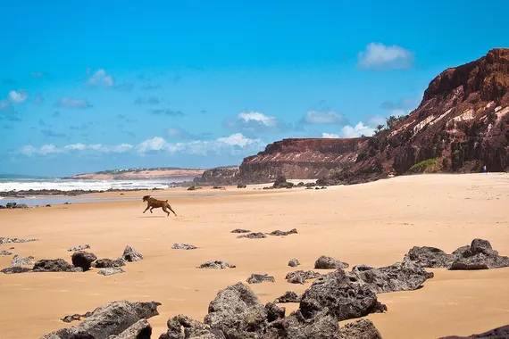 Praia de Pipa