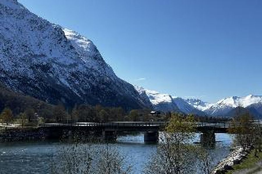photo-0