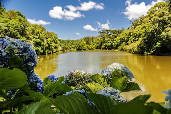 Nova Petrópolis