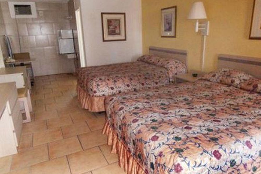 foto-2