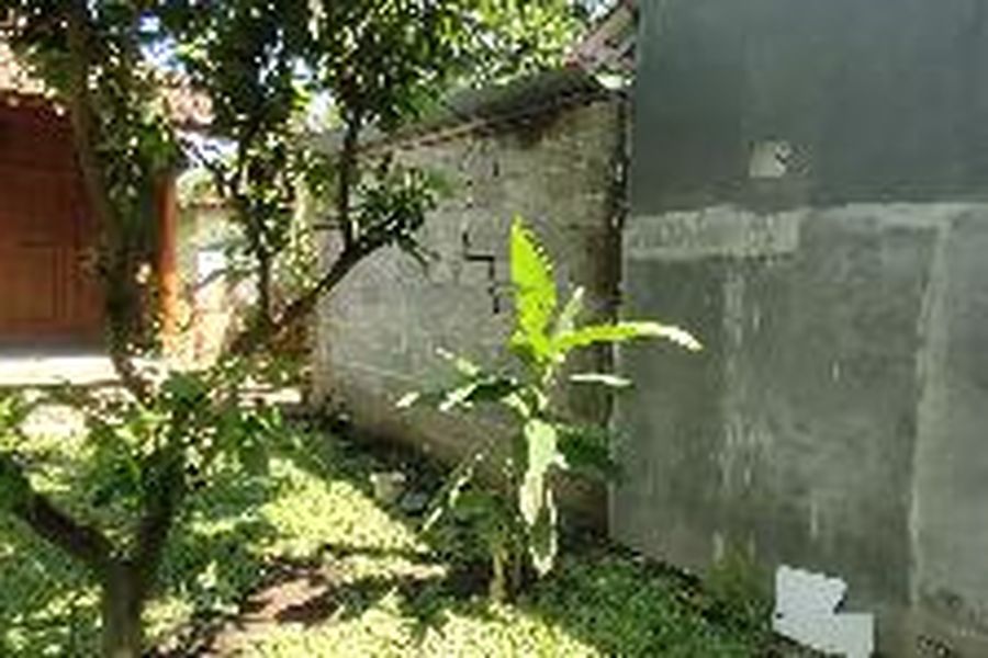foto-1