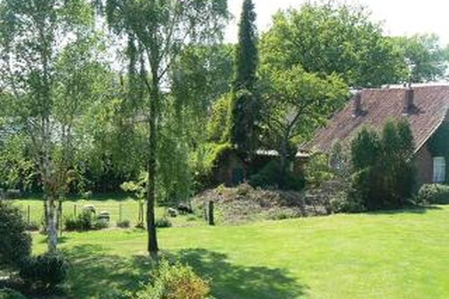 photo-2