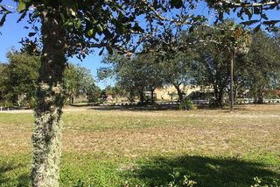 photo-1
