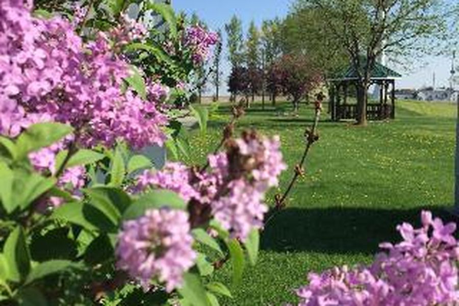 foto-1