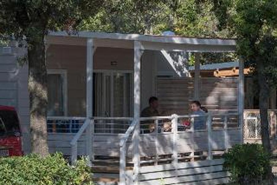 photo-3