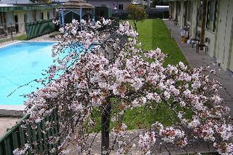 foto-1