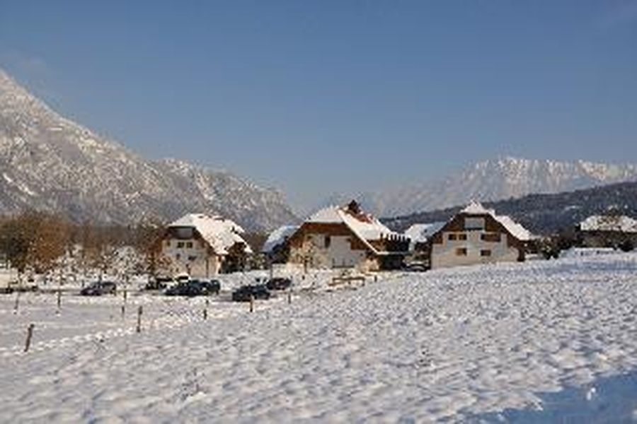 foto-1