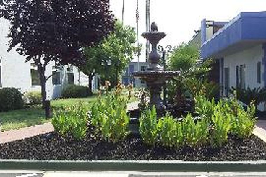 foto-2