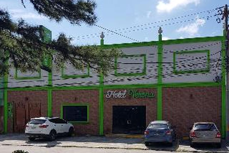 photo-3