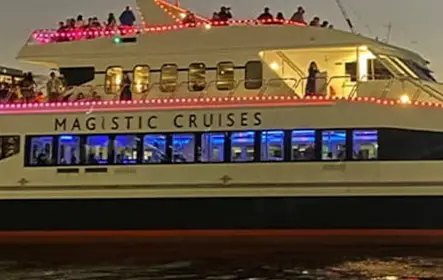Sydney: Cruzeiro noturno vívido em Sydney