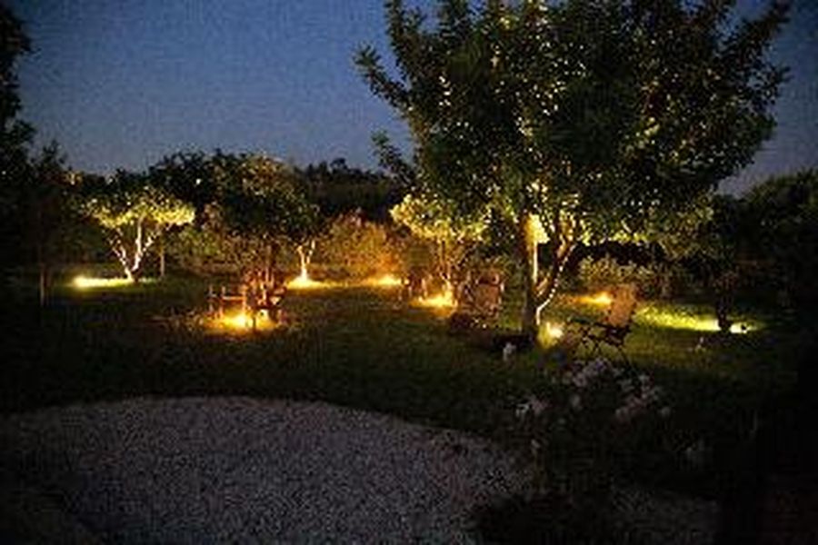 photo-3