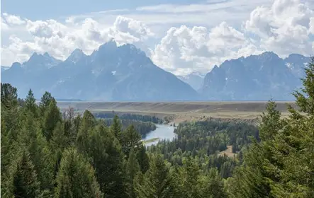 Winter and spring wildlife sunset safari from Jackson Hole