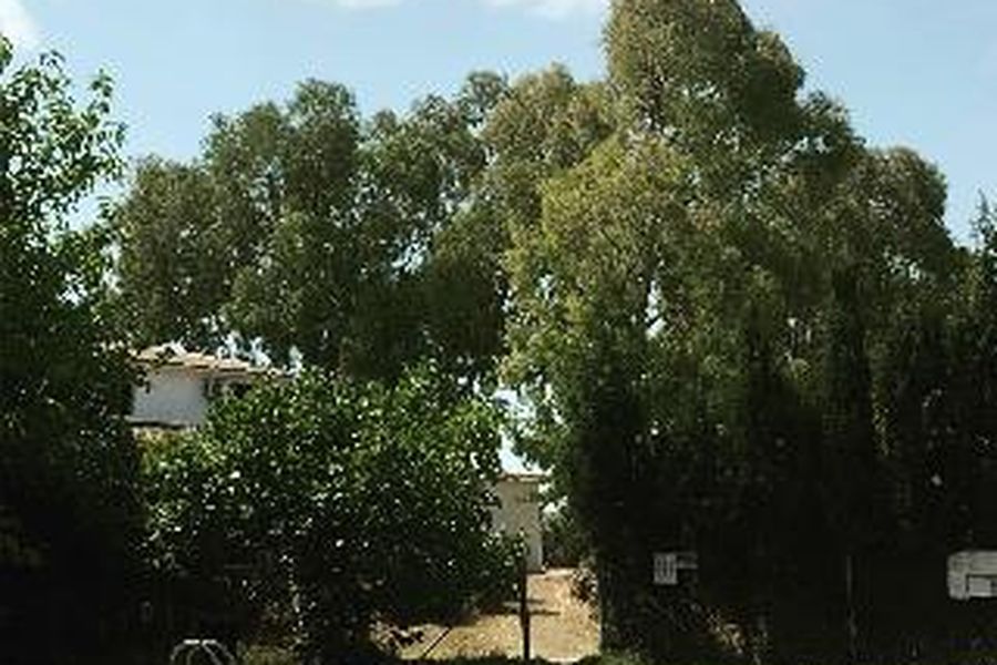 photo-1