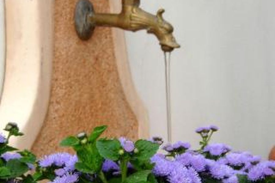 foto-1