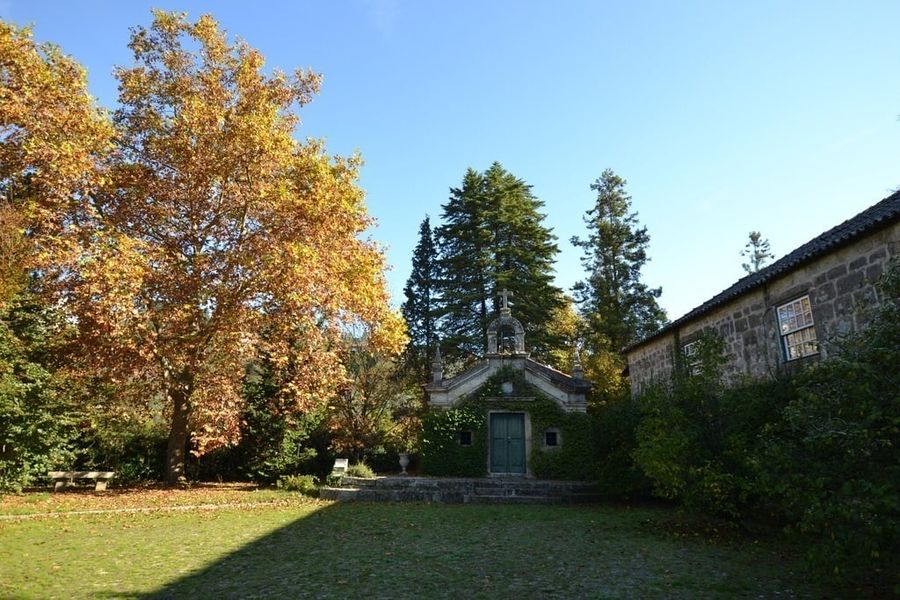 photo-0