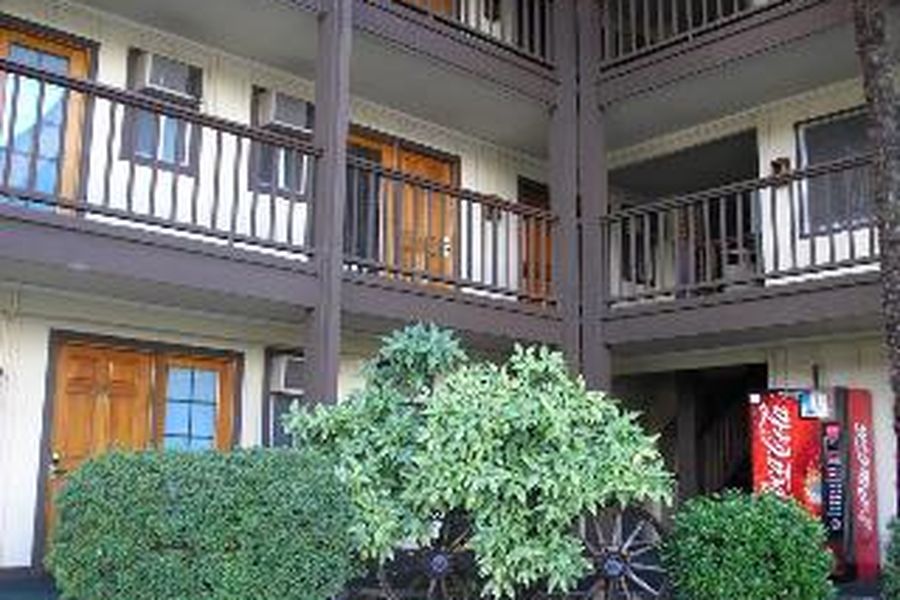 photo-1