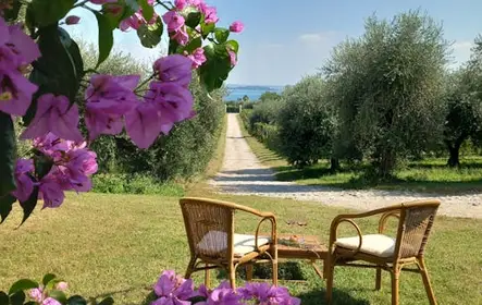 Aperitivo con vistas al lago entre los viñedos del lago de Garda