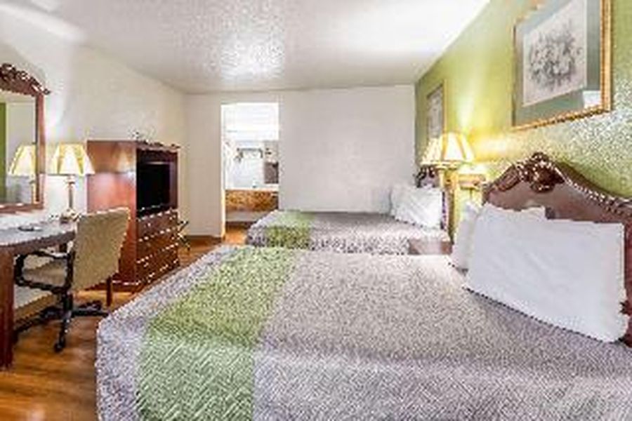 photo-1