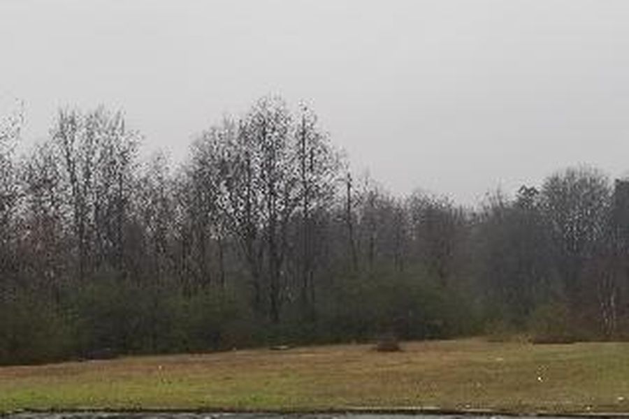 photo-2