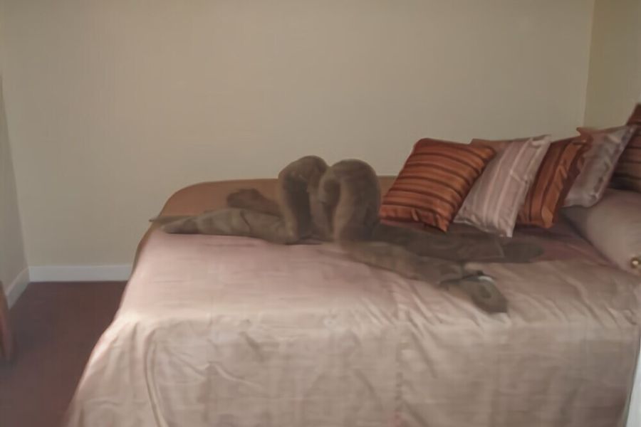 foto-3