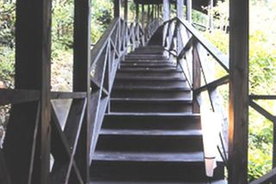 foto-2