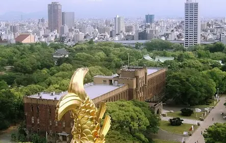 Museo del Castillo de Osaka: Entrada
