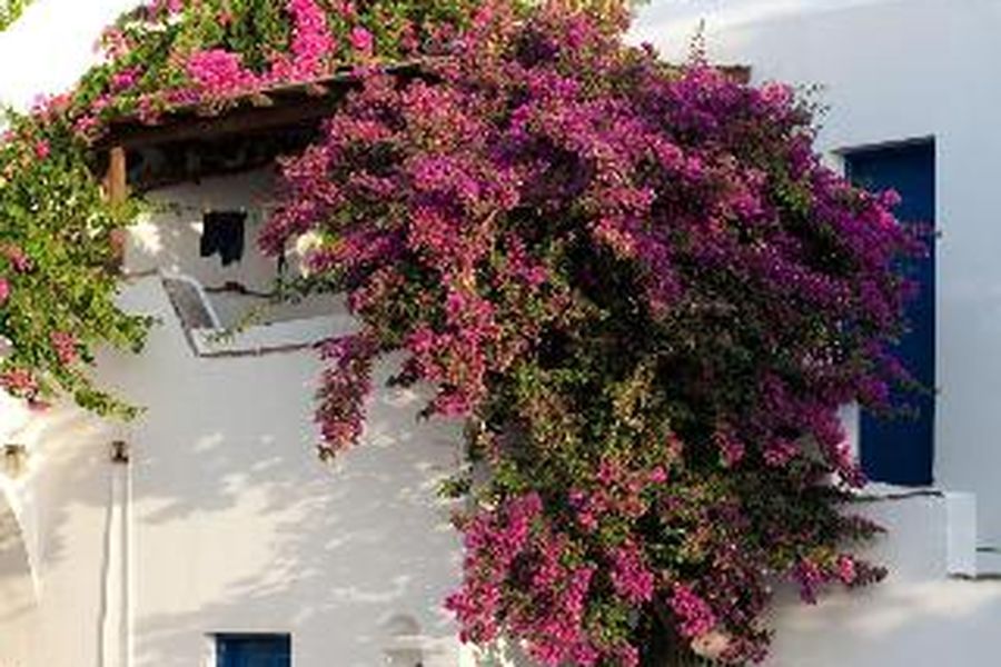 foto-2