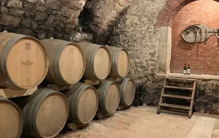 Valpolicella: comida y degustación de aceite de oliva + transporte opcional