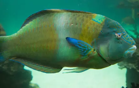 Acuario de Nueva York: entrada