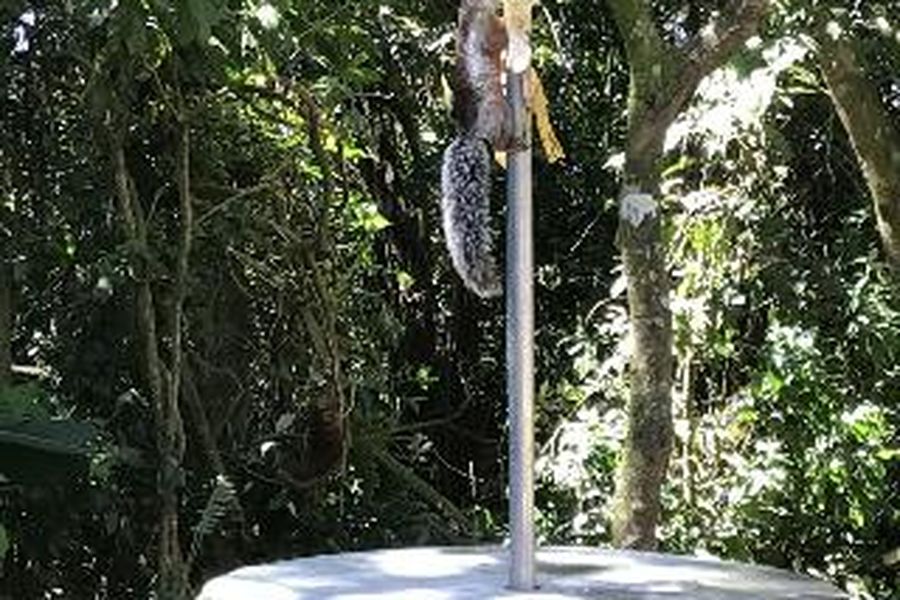 photo-3