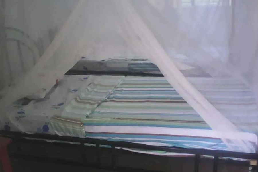 photo-3