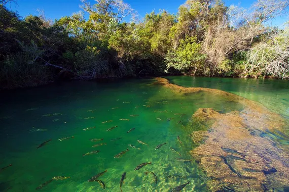Bonito, Mato Grosso do Sul