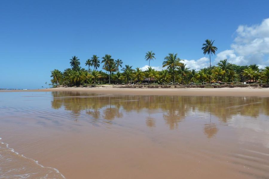 photo-1